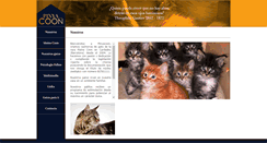 Desktop Screenshot of pinyacoon.es